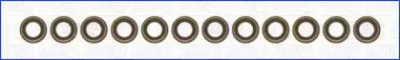 WILMINK GROUP wg1753827 -